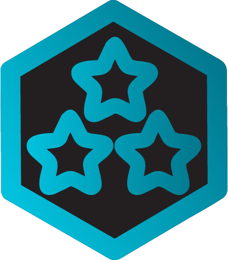 Level 3